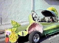 catmobile.jpg